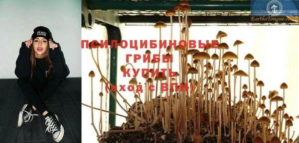 COCAINE Ладушкин
