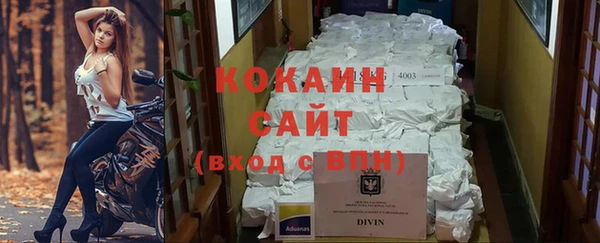 прущие грибы Краснослободск