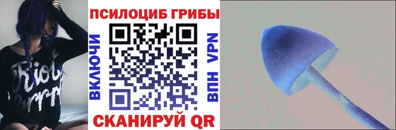 Псилоцибиновые грибы мухоморы  Купить закладки  Апшеронск 